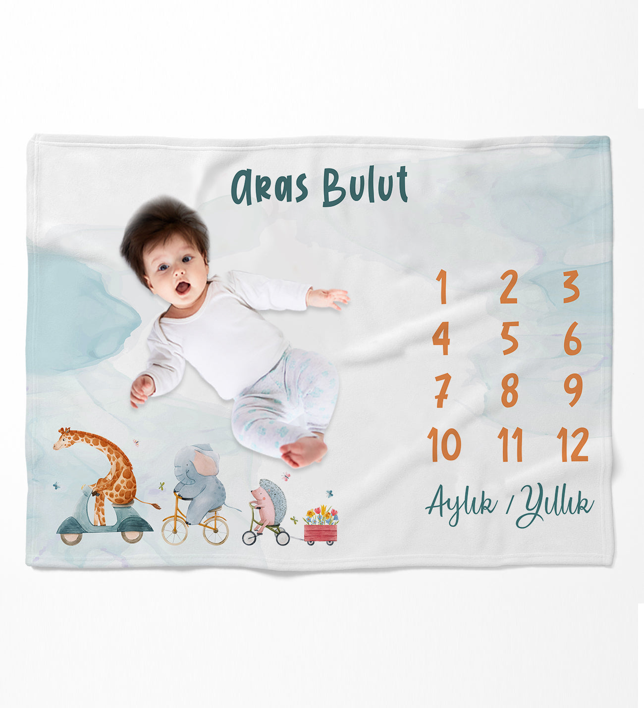 Evmila Dinosaur Patterned Velvet Memory Blanket